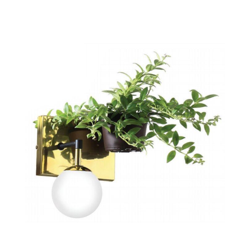 Arandela Old Artisan com Suporte para Planta 1L G9 220x180x290mm Globo Ø120mm AR-5429 