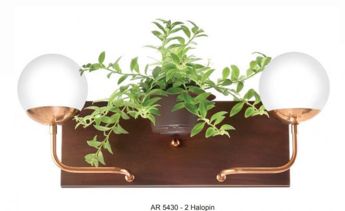 Arandela Old Artisan com Suporte para Planta 2L G9 530x160x230mm Globo Ø120mm AR-5430 