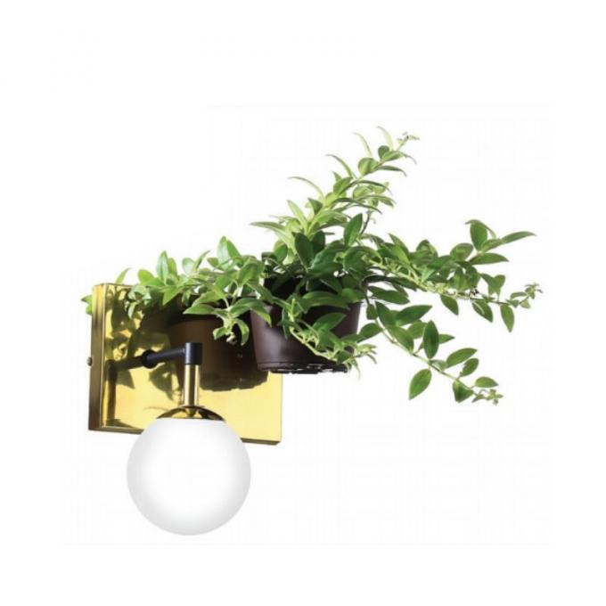 Arandela Old Artisan com Suporte para Planta 1L G9 220x180x290mm Globo Ø120mm AR-5429 