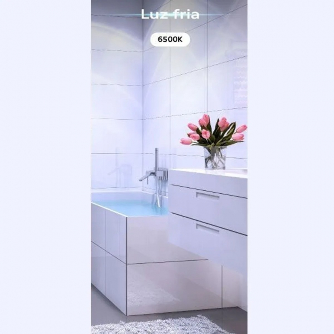 Lâmpada Blumenau Bulbo 12 watts A60 IP20 6500K Ø60mm 03127016
