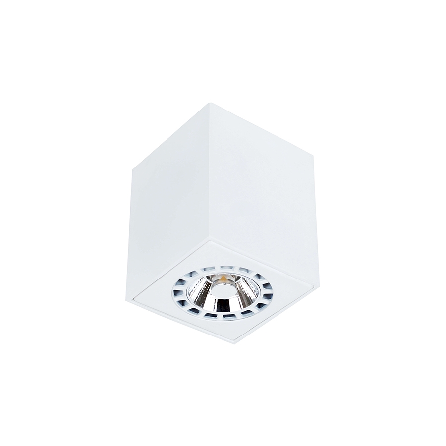 Plafon Newline Cube 1L PAR16/MR16 57x57x85mm PL03009
