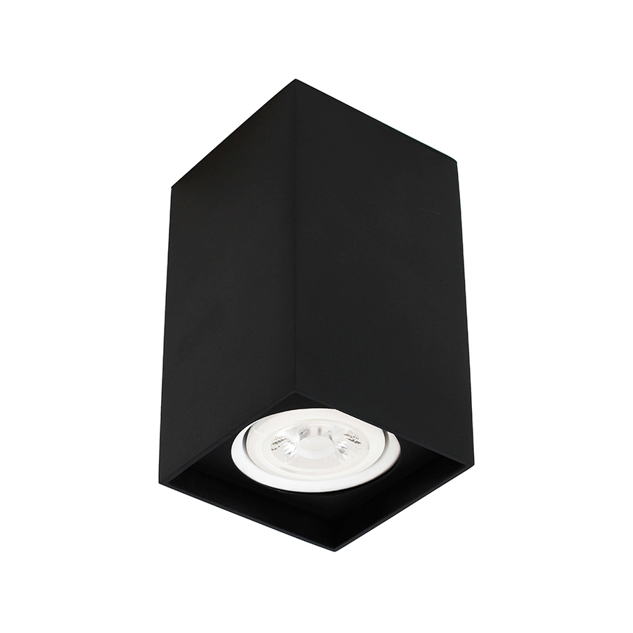 Plafon Newline Cube 1L PAR20 80x80x135mm PL03011
