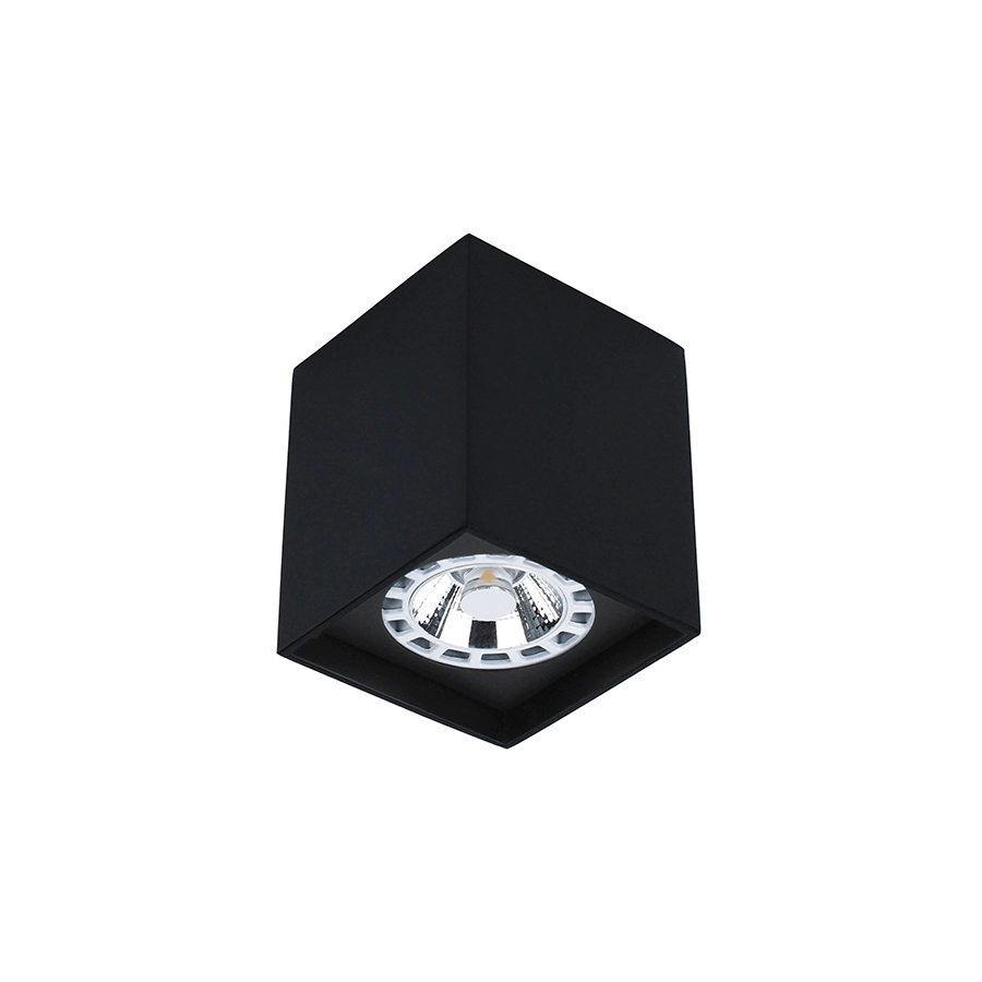 Plafon Newline Cube 1L PAR16/MR16 57x57x85mm PL03009
