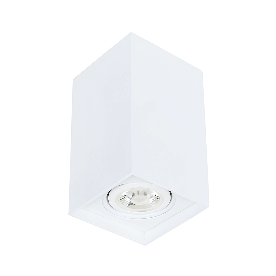 Plafon Newline Cube 1L PAR20 80x80x135mm PL03011
