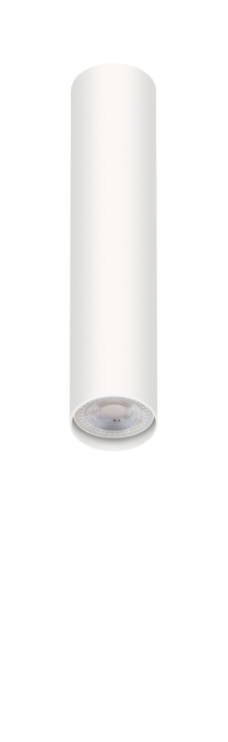 Plafon TKS Pipe 1L E27 Par20 Ø75x300mm 1082
