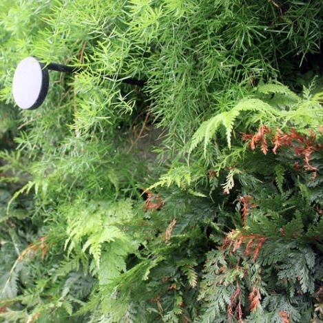 Arandela Direct Light V-Garden Jardim Vertical 2,7 watts Haste 1000mm Bivolt 2700K IRC90 120° IP66 DL AR8