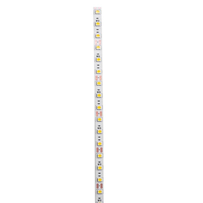 Fita LED Nordecor 5,4/mt 60 leds IP20 8mm 12V 4000K (Rolo 5 metros) 7003