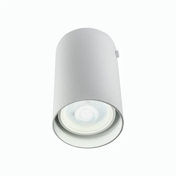 Spot Sobrepor Redondo Eisen Alumínio Branco 1L PAR20 Ø75x120mm EM260