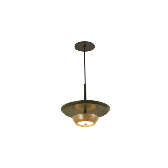 Pendente Classic Lar Atomo Madeira 10 watts 3000K Bivolt Ø270x100mm 1360

